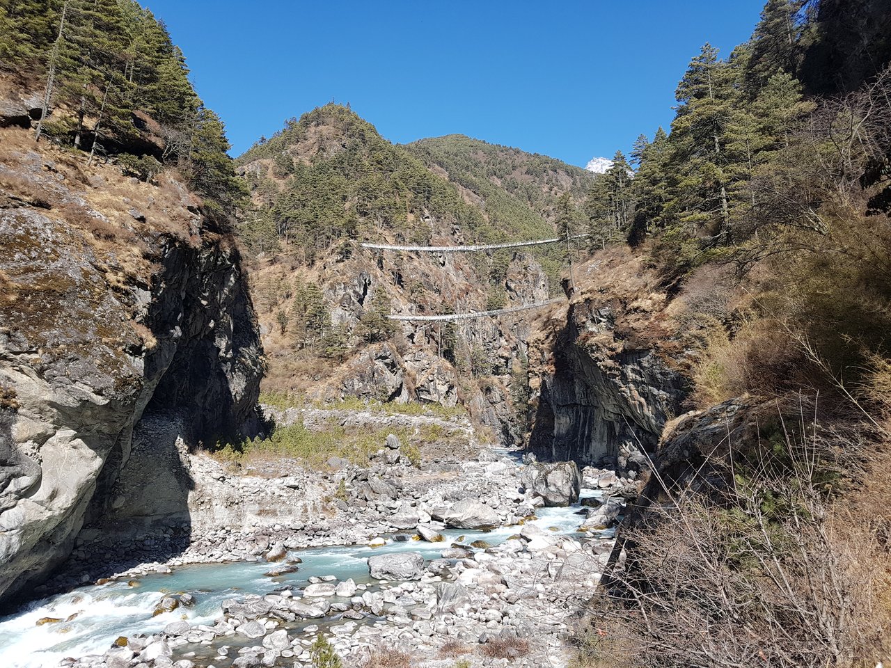 Suspension Bridges | Photo taken by Katarina W