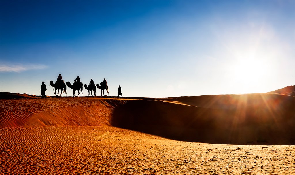 Camel caravan at sunset in Erg Chebbi, Morocco