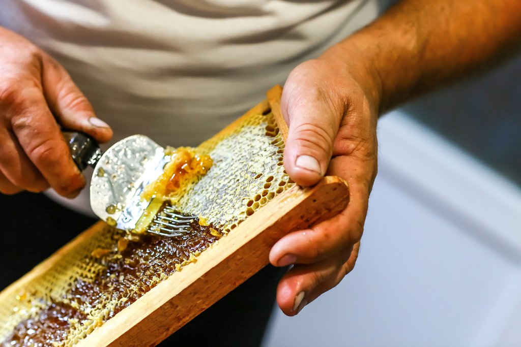 Raw honey being harvested