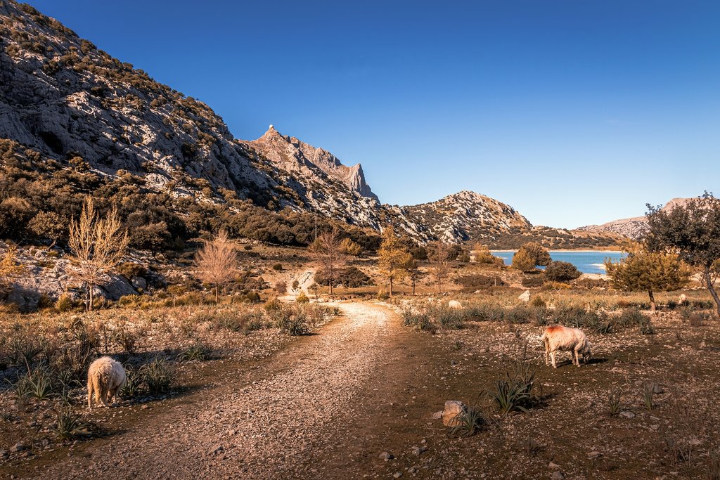 Tramuntana Mountains
