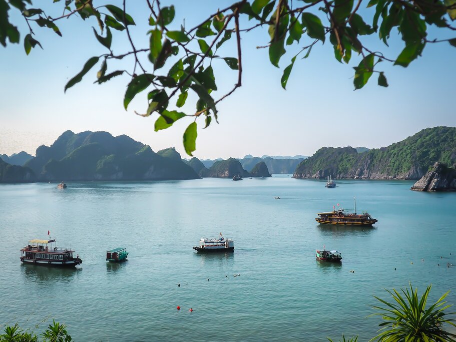 Traditional Vietnamese boats in a beautiful bay 