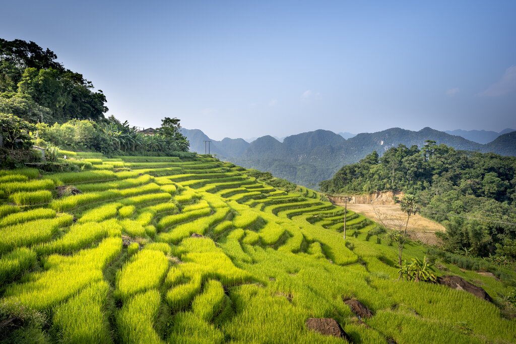 Pu Luong Natural Reserve
