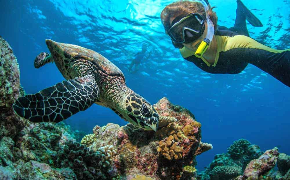 Snorkelling in Zanzibar