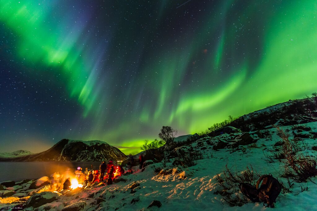 dogsledding