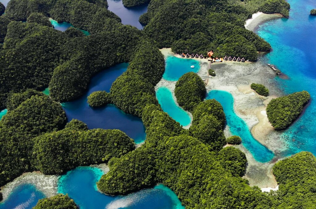 Explore the famous palm forests, hidden coves, and endless beaches on Siargao