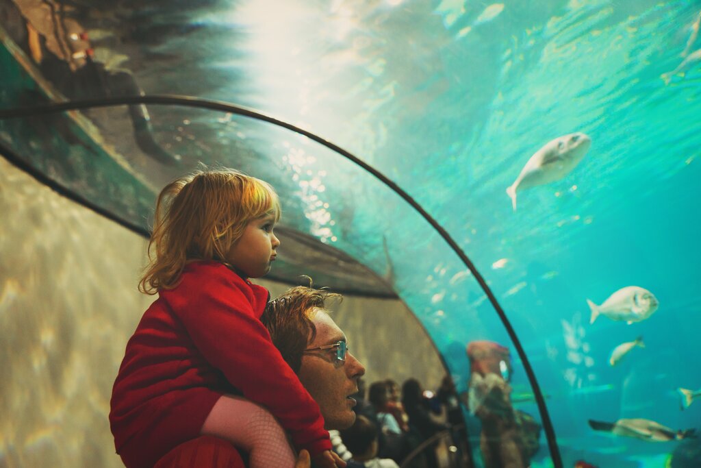 Aquarium