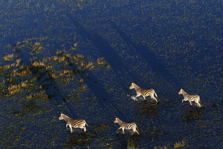 Southern Africa Panorama: Culture, Cuisine & Wildlife - 15 Days