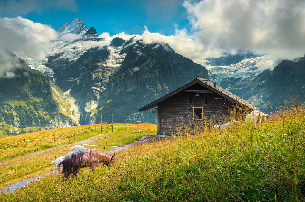Faulhorn - First - Grindelwald - Alpiglen