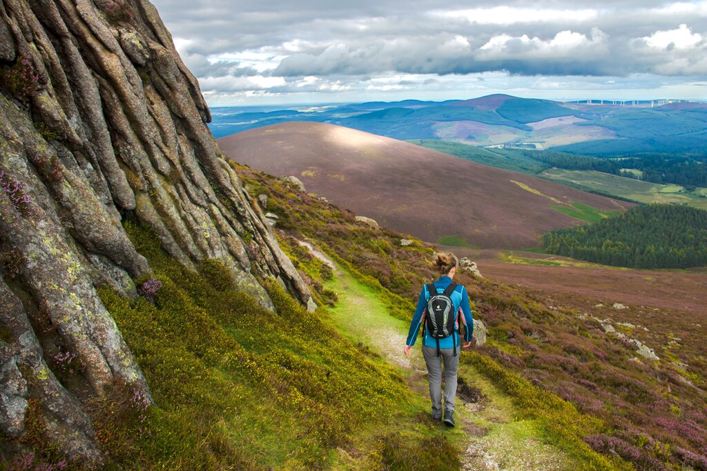Spend a day in Cairngorms National Park looking for wildlife