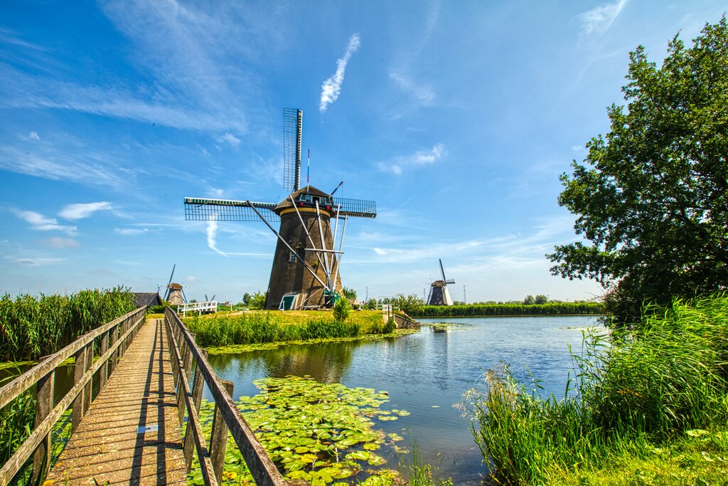 Day trip to Kinderdijk & Dordrecht by public boat & train