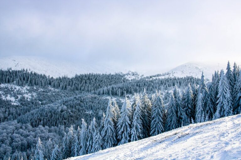 Romania In December Travel Tips Weather More