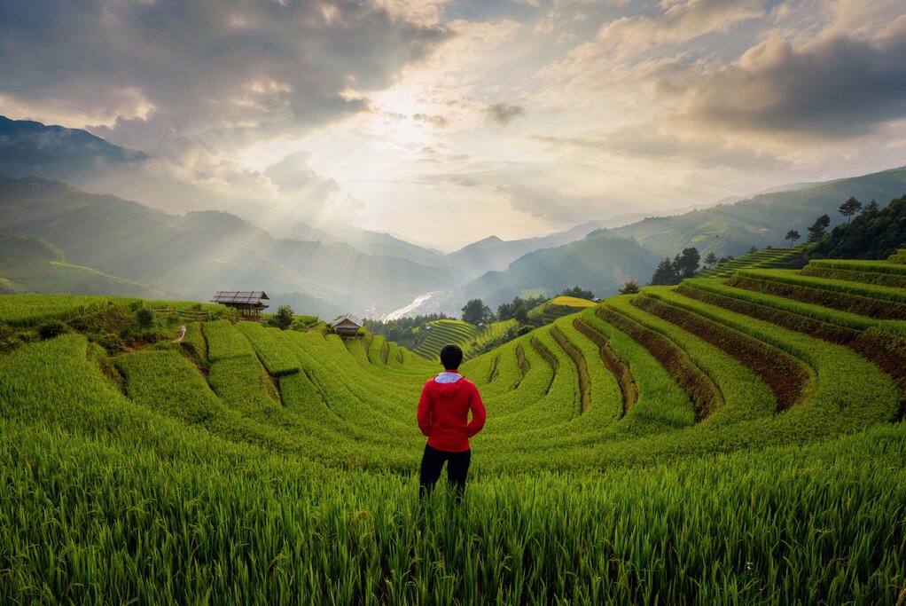 Hike to traditional villages in Sapa