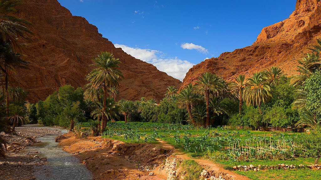 Ochre Hues in the Draa Valley