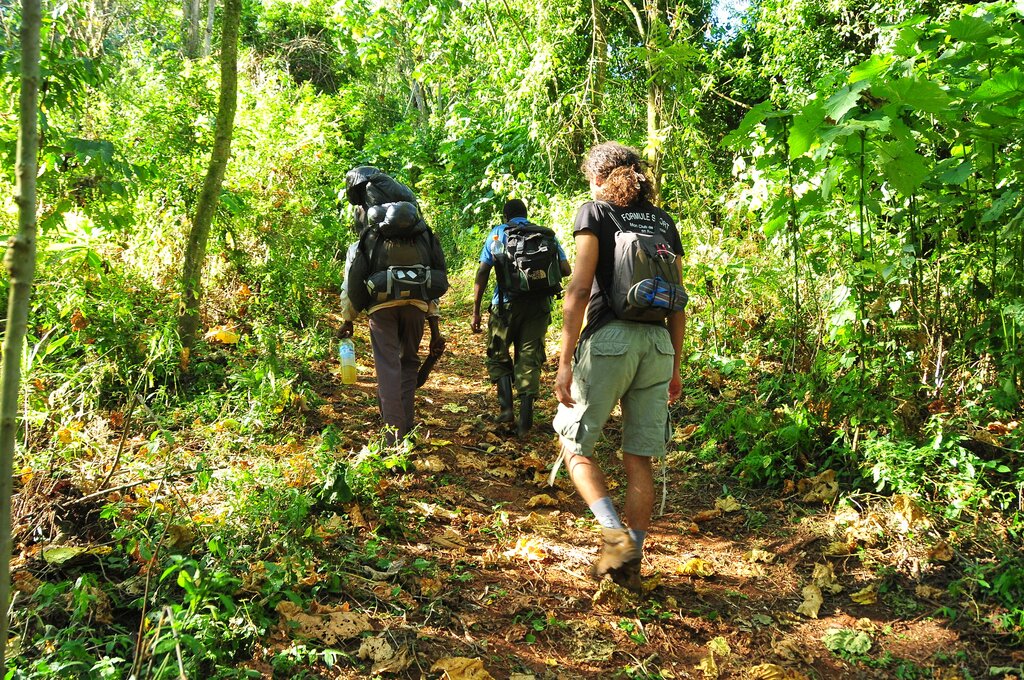 Day 2: Hiking Mount Elgon - From Tutum Camp to Kajeri Camp