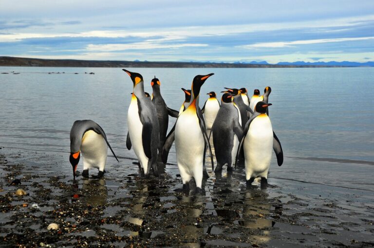 13 Days in Patagonia - 5 Unique Itinerary Ideas