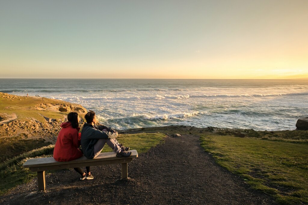 Pause in Dunedin for spectacular coastal scenery and a castle and cruise tour