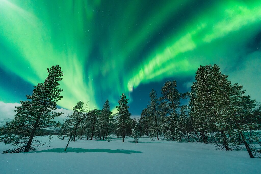You'll have plenty of chances to spot the elusive norhtern lights on this tour of Sweden's far north