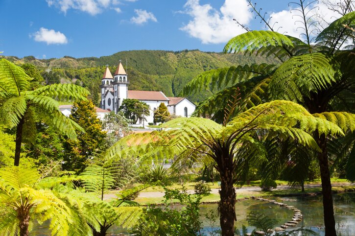 A view throught the palms to a historic church in Ponta Delgada