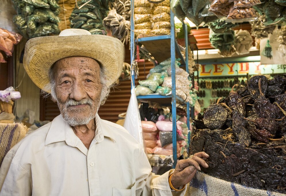 Tour of traditional Oaxacan medicine