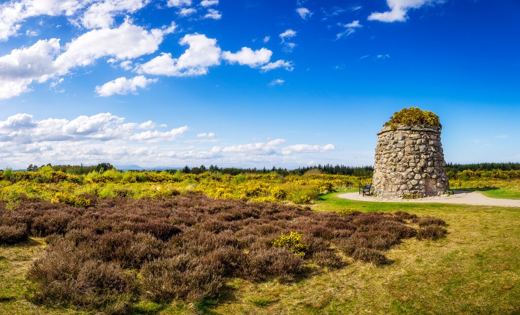 Sunrise over Culloden Battlefield.