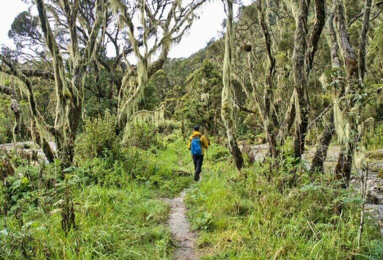 Active Uganda Adventure - 14 Days