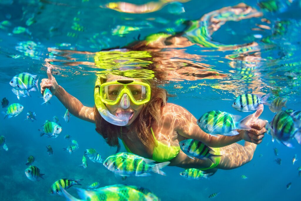 Snorkel among Thailand's colorful marine life