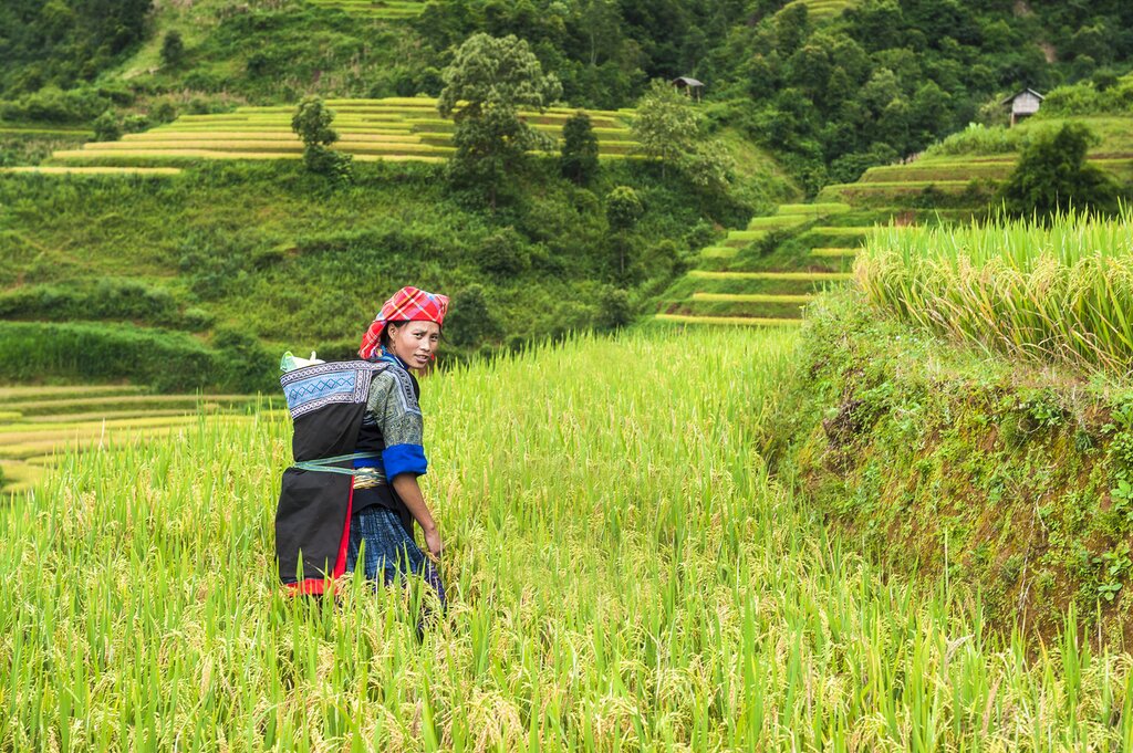 Sped time with hill tribe members in northern Vietnam