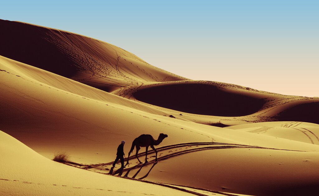 Experience Morocco's mountains, dunes, and beaches on this guided tour