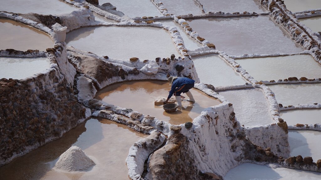 Maras - Photo by Guido Avogadro