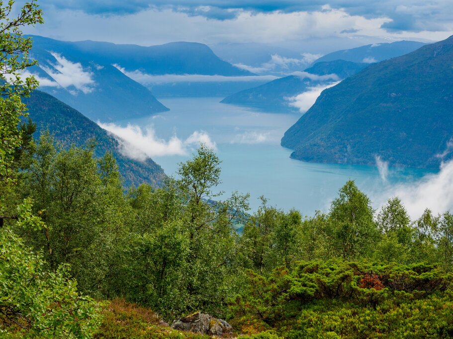 Lusterfjord