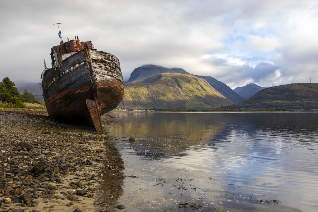 Seal Spotting Loch Linnhe Morning or Afternoon Cruise