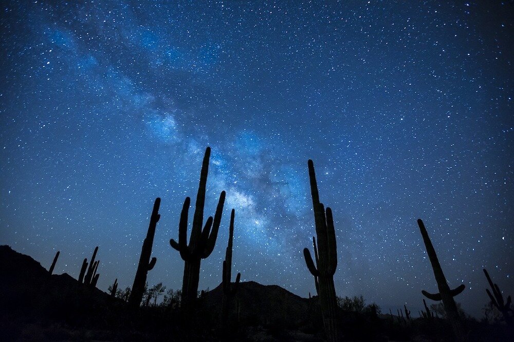 Briliant night skies over the Tehuacán-Cuicuitlán Biosphere Reserve