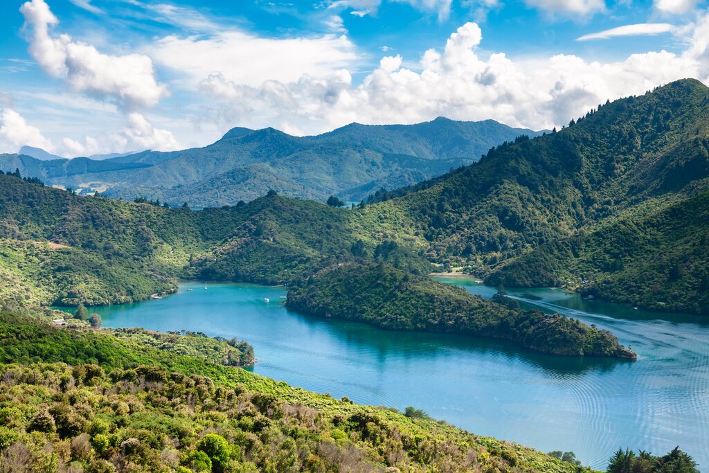 Mail Boat Cruise in the Marlborough Sound