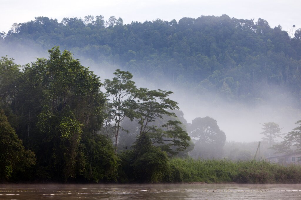 Cruise along the Kinabatangan River in Malaysian Borneo