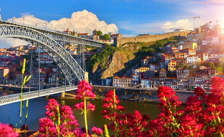 Views of the Dom Luís I Bridge in Porto