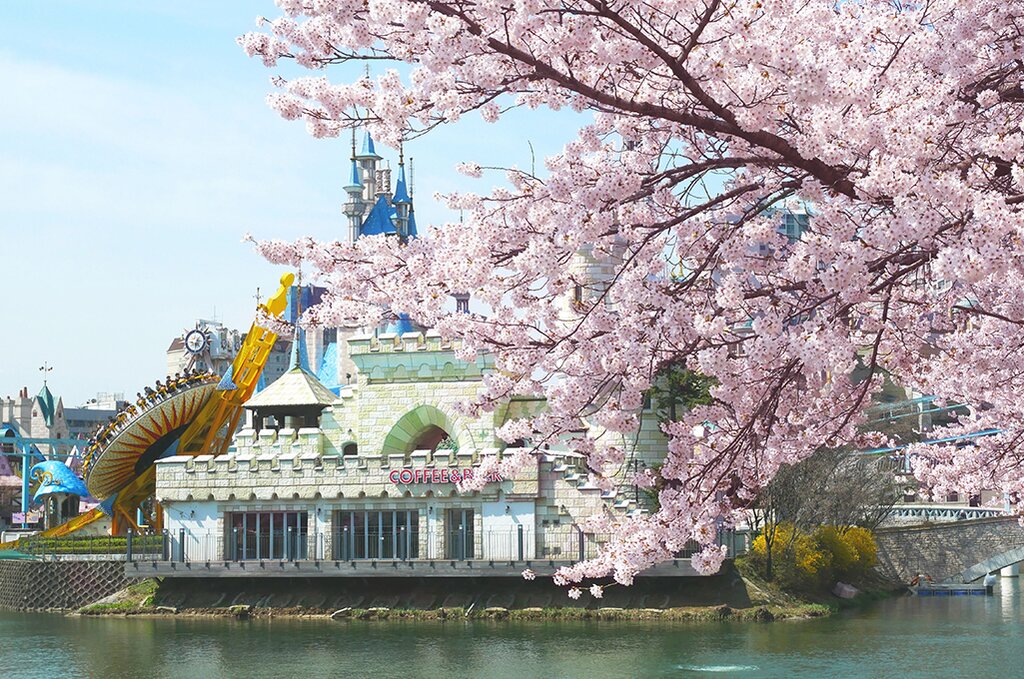 Full Day Lotte World Theme Park