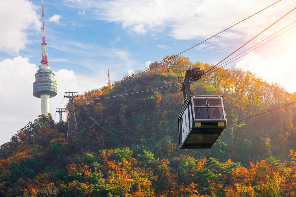 Autumn In Seoul: Hanbok Experience, Jogyesa Chrysanthemums, and Namsan Park Fall Foliage