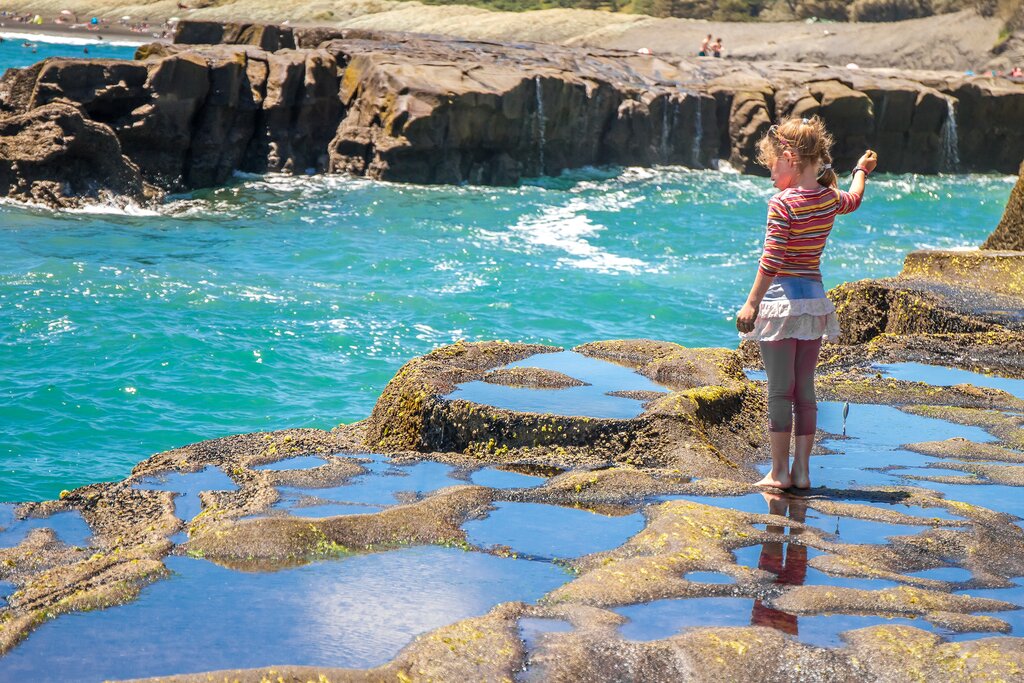Muriwai Beach