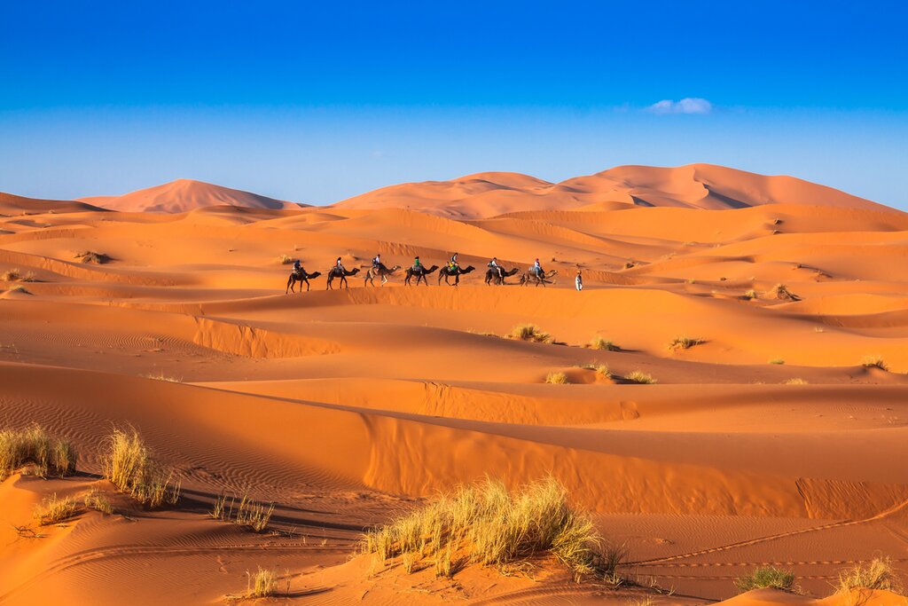 Erg chebbi and camels