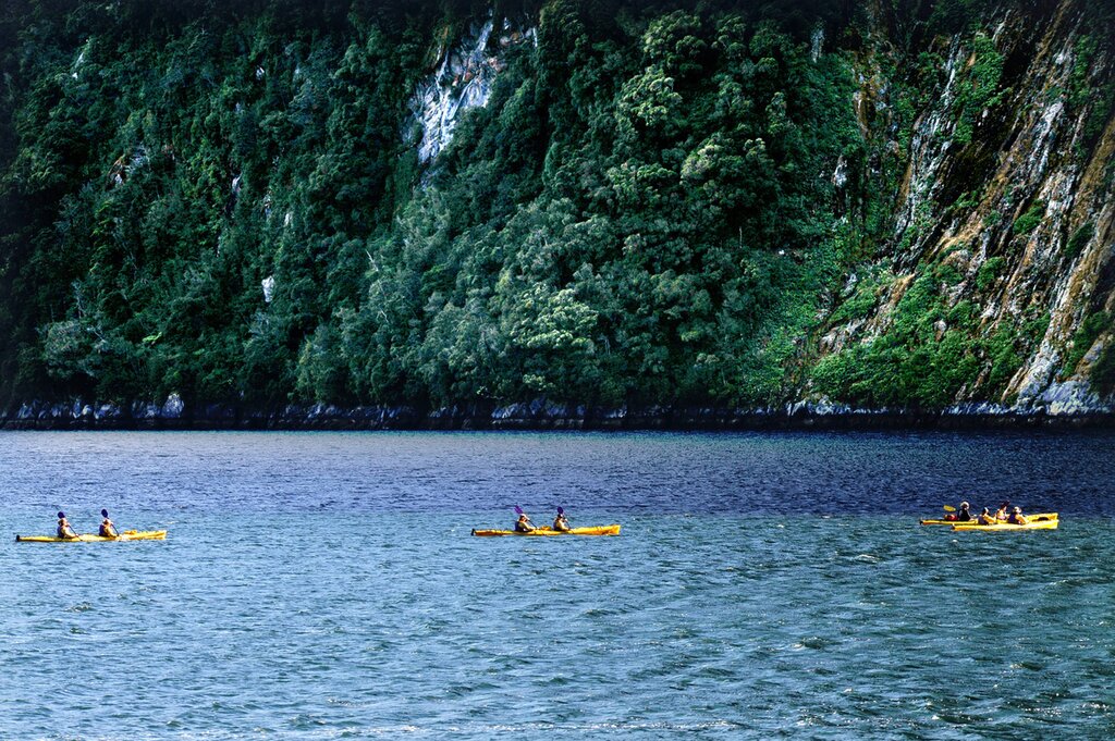 a line of four yellow, two-person kayaks crosses blue water in a fjord in New Zealand
