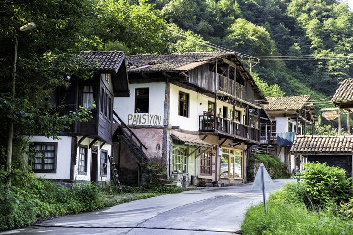 Explore the Old Mansions of Çamlıhemşin