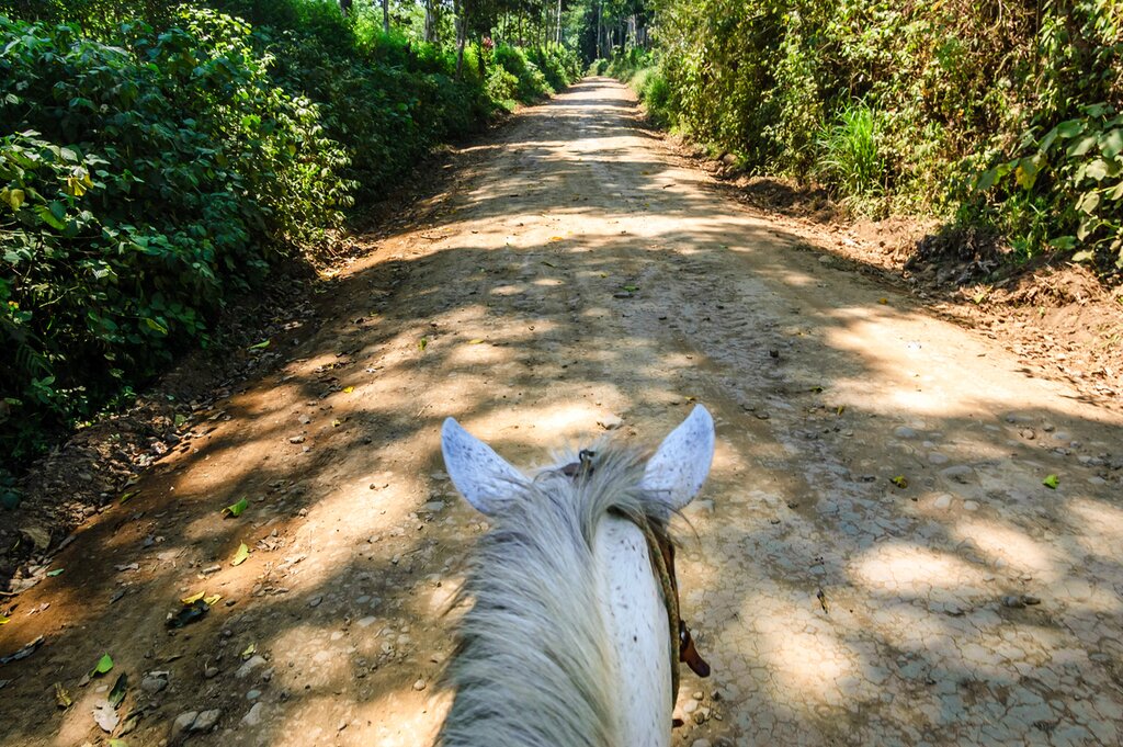 Getaway to Manialtepec