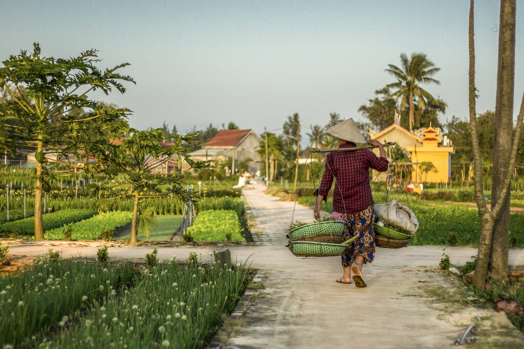 Hoi An village