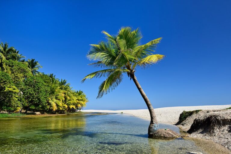 Explore the Southwestern Dominican Republic - 7 Days