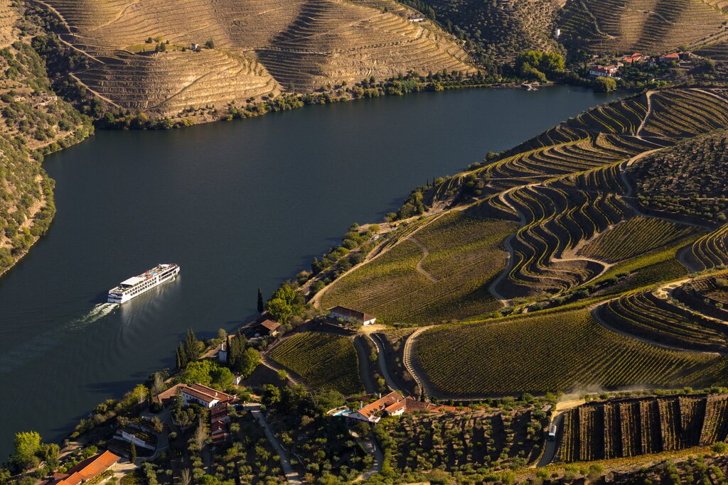 Boat cruising on the Douro River