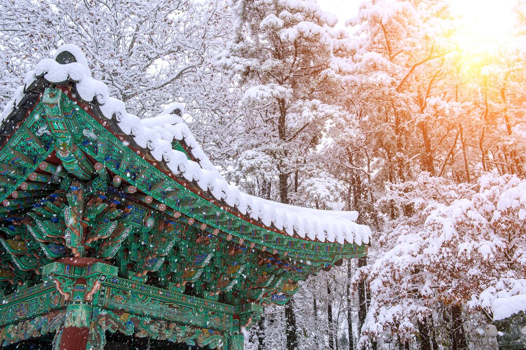 Winter Scenery in Korea: Garden of Morning Calm and Nami Island