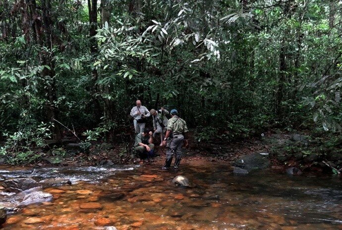 Rain forest trail in Kitulgala