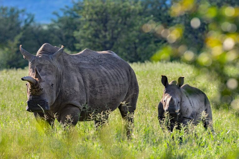 Namibia In August Travel Tips Weather More