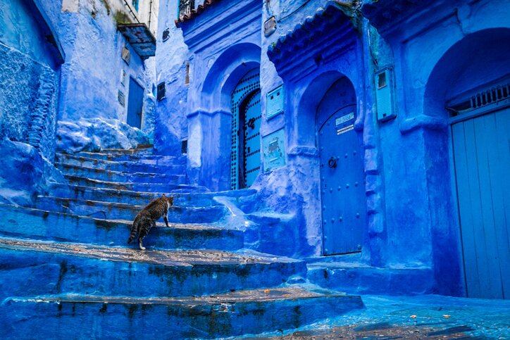 Transfer to Chefchaouen