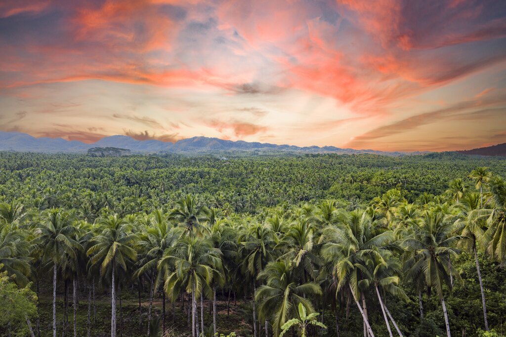 Discover Siargao: Taktak Falls, Magpupungko Rock Pool, and More